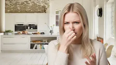 Raikasta keittiösi luonnollisesti: helppo tuoksunraikastin aineksista, joita löytyy jokaiselta